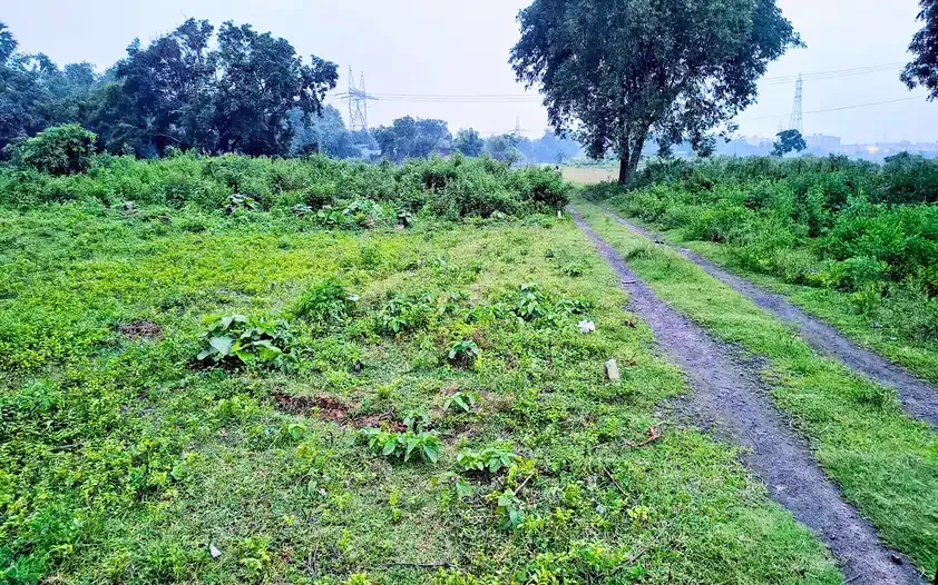 4 Bigha Land for sale in Kuldiha, Durgapur.-CT98179-Im5644